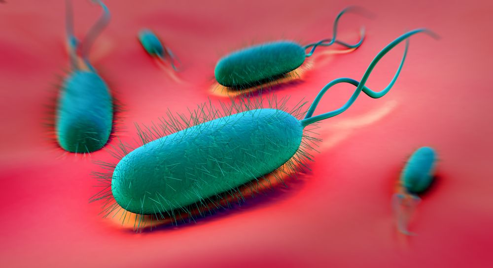 Gut Bacteria Control Our Minds To Get The Food They Want; How ...