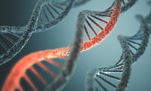 RNA