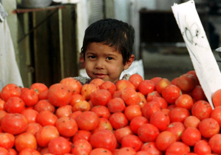 tomatoes