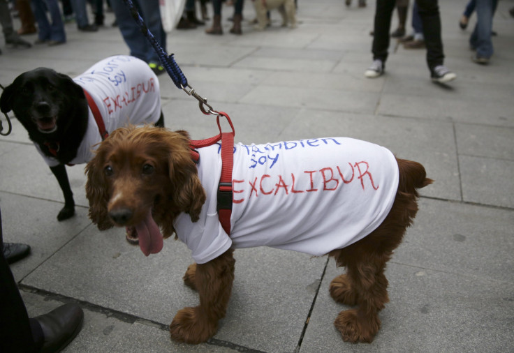 Dogs Protest 