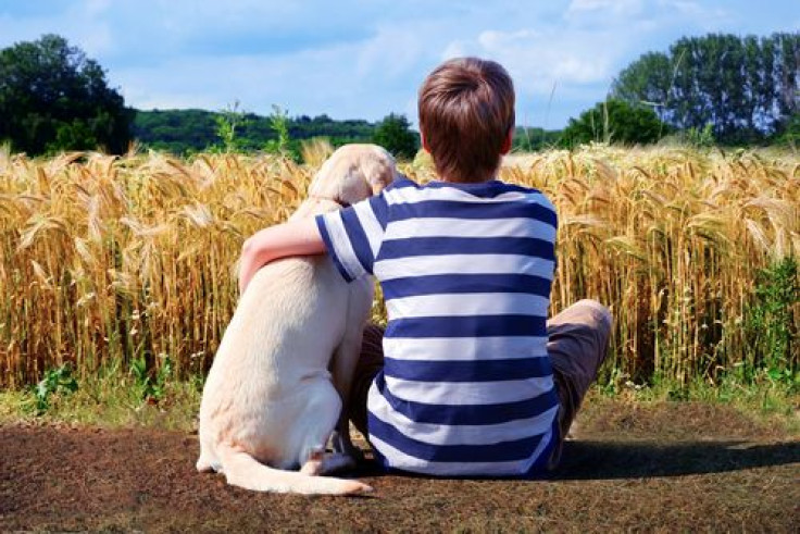 Man and dog