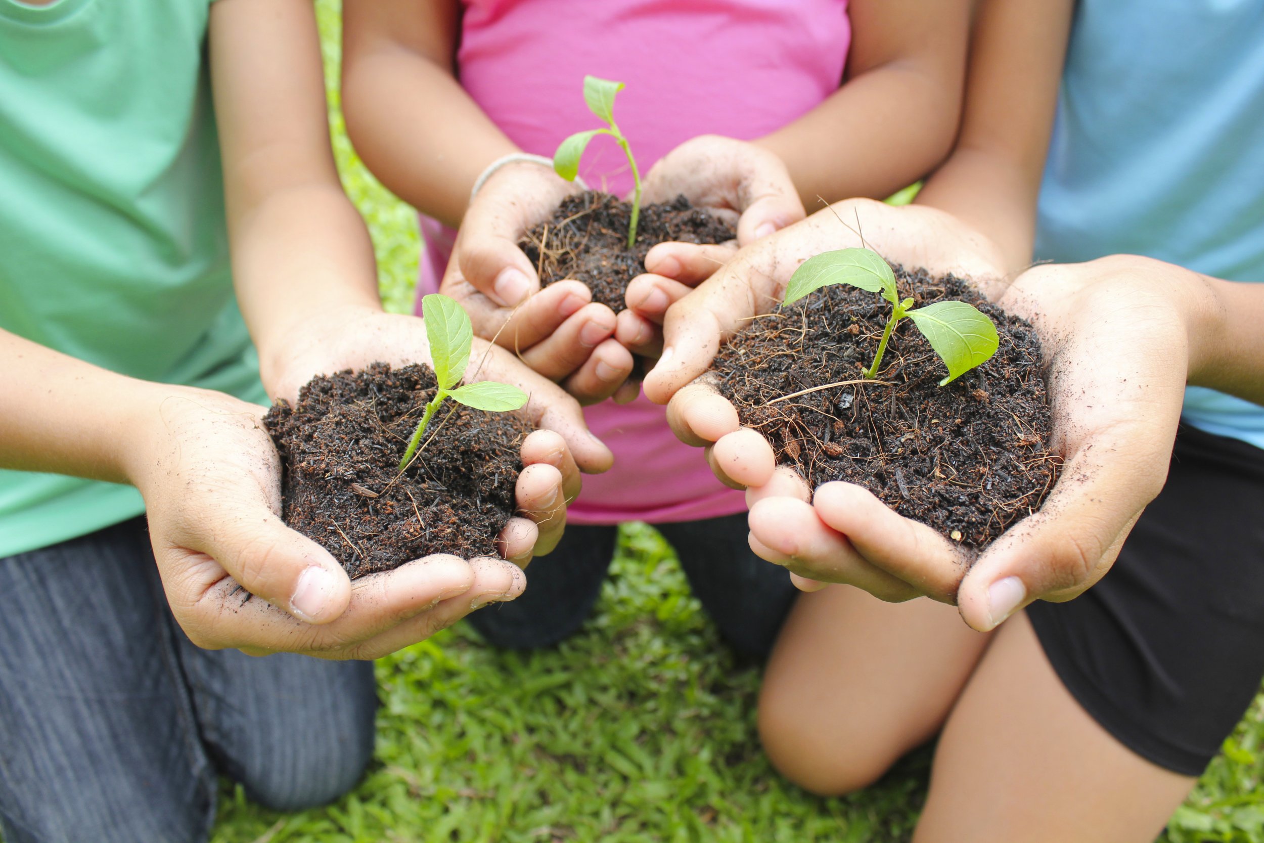 Sensory Garden: Special Needs Children Flourish After Feeling, Hearing 