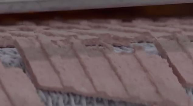 McDonald's McRib, YouTube Screenshot