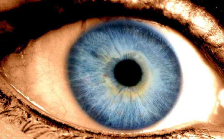 eye