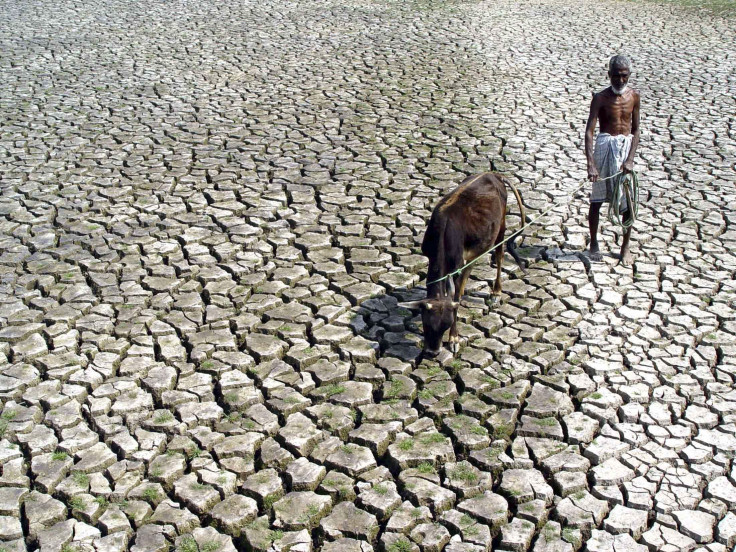 India Farmer Affected by Climate Change
