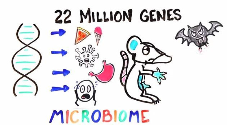 Microbiomes Make Up More Of Our Human Body Than Us