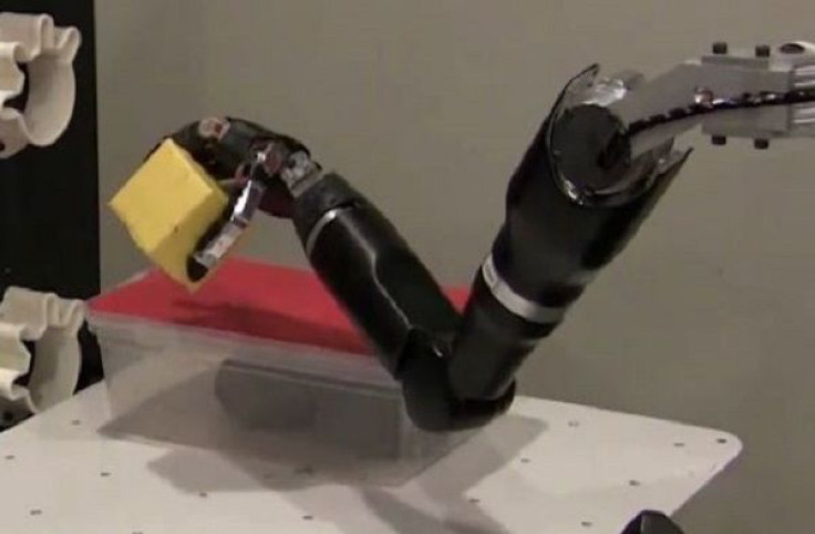 Robotic Prosthesis