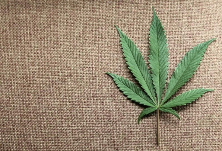 colorado marijuana