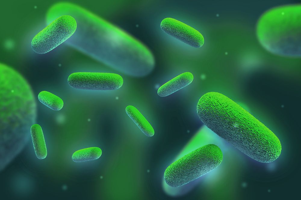 Antibiotic Resistance Will Kill 10 Million People A Year By 2050   Bacteria 