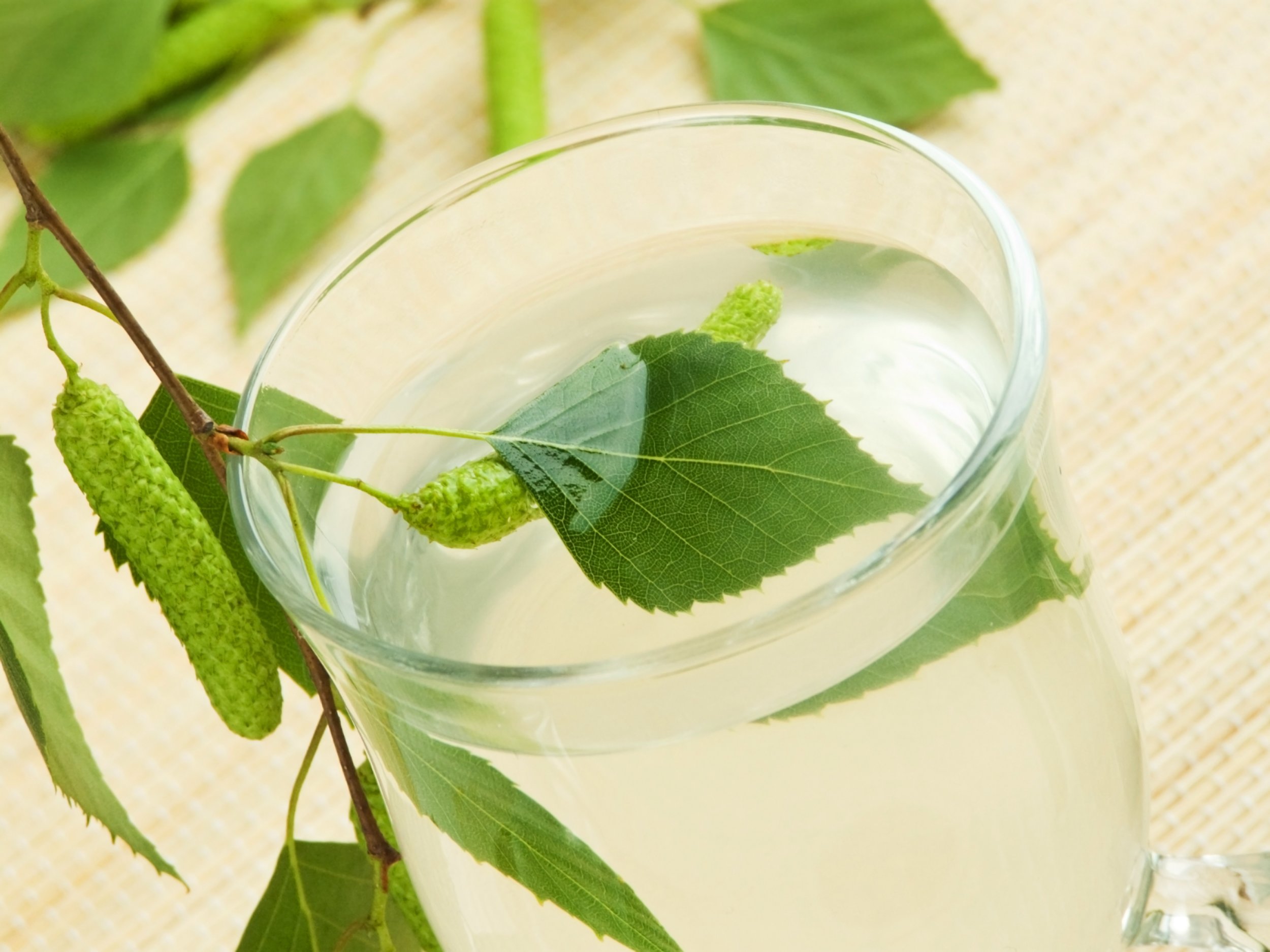 Birch Water Benefits - Have You Heard of Birch Water for Detox?