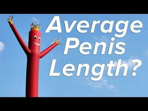 What’s Normal For Breast Size And Penis Size? Find Out If You’re ‘Sexually Average’