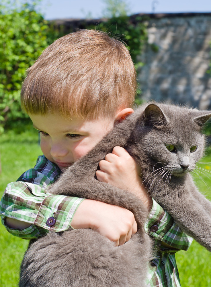 boy hugs kittie kat