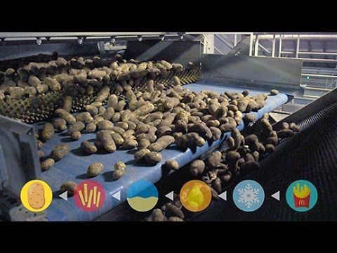 What’s In McDonald’s French Fries? Find Out If The Fast-Food Chain Uses Real Potatoes