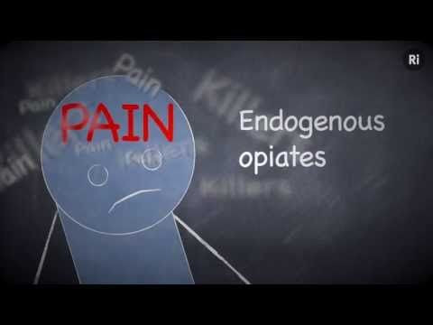 The Placebo Effect Is An Evolutionary Hand-Me-Down: Why It Works So Well