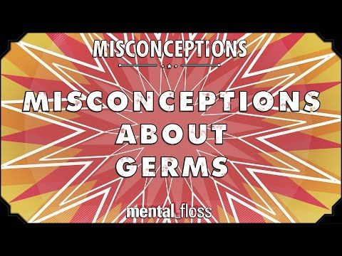 Germ Theory: What You May Not Know About The Bacteria Crawling Around Your Bathroom