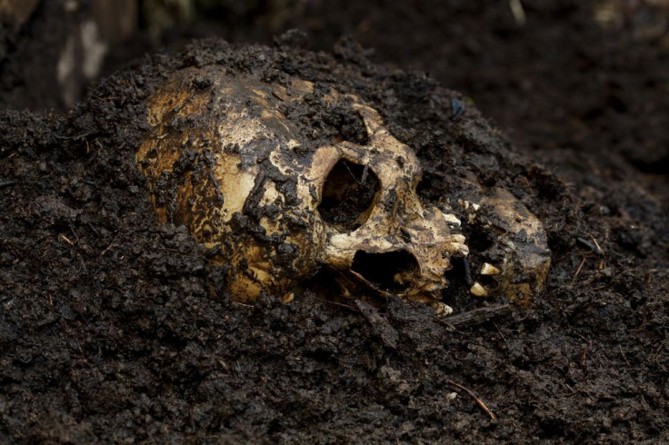 Real human skull figured as crime scene
