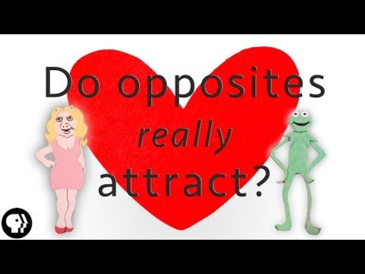 Opposites Attract, Sometimes: The Science Of Attraction