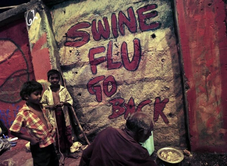 india swine flu