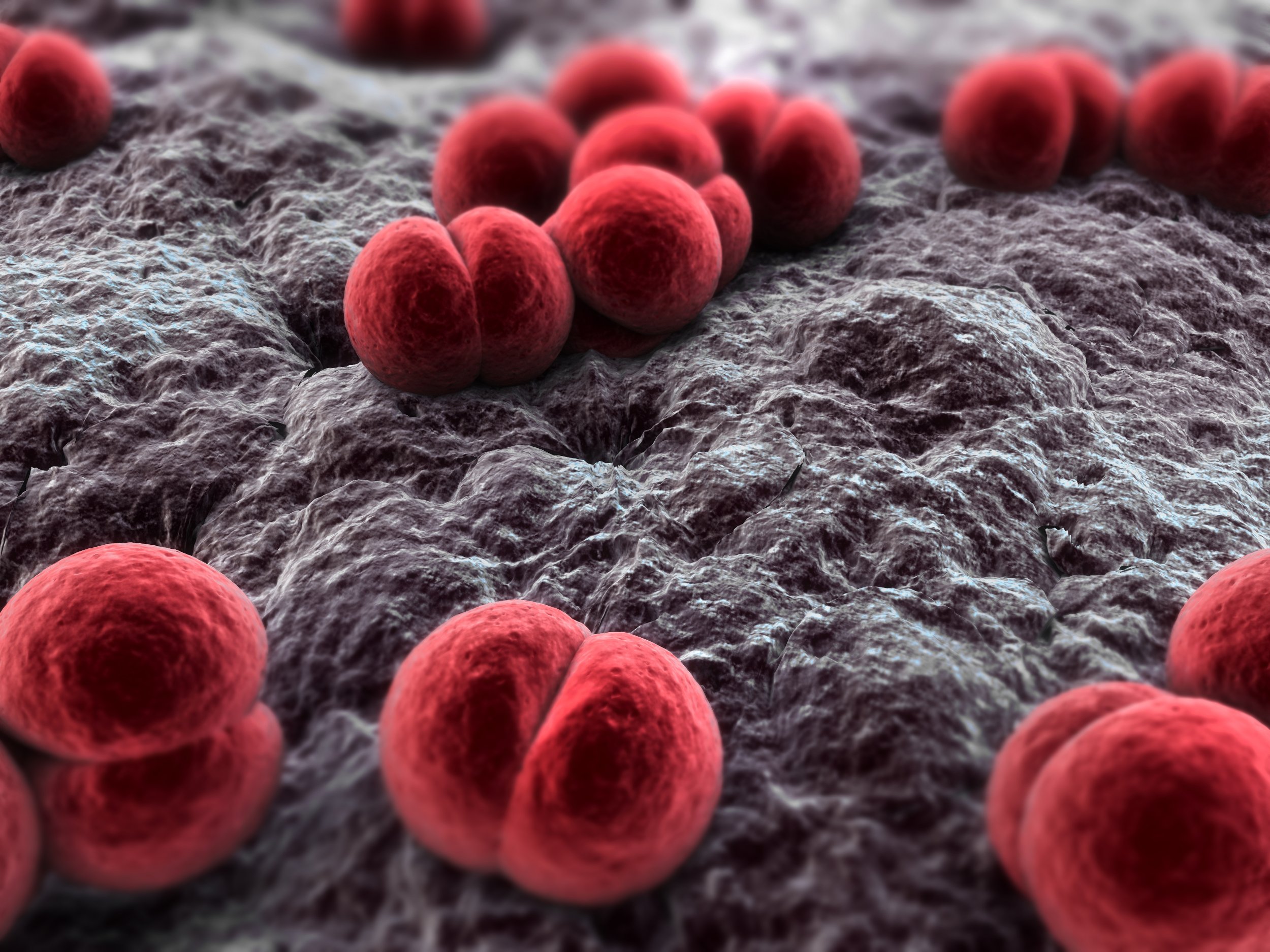 Meningococcal Outbreak In Virginia Kills 5; Know Symptoms, Ways To Prevent Disease