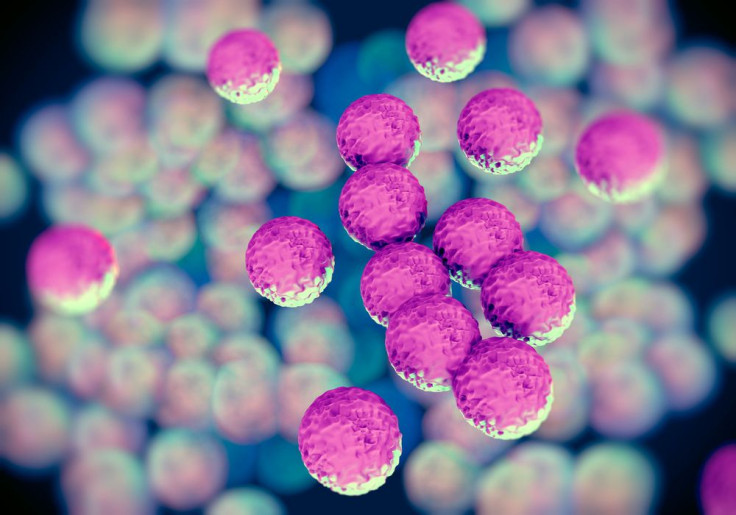 Superbug