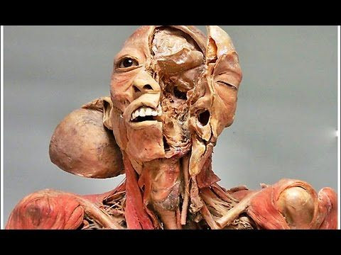 Do You Know Your Body? 25 Mind-Blowing Facts About The Human Body