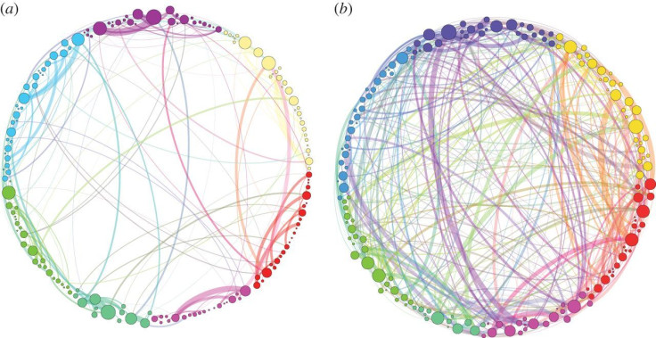 Your Brain On Shrooms