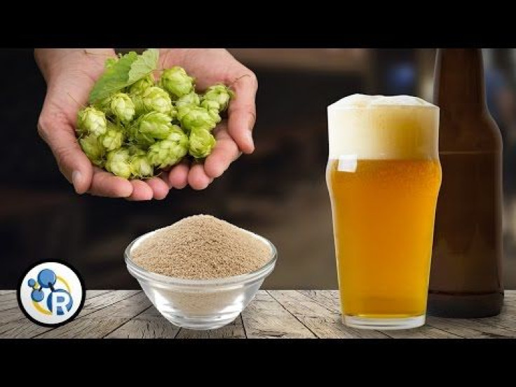 Craft Beer Chemistry For St. Patrick’s Day: The Science Behind The Suds In The Brew