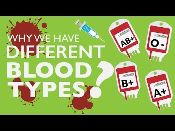 In The Blood: Antigens In Red Blood Cells Determine Human Blood Types