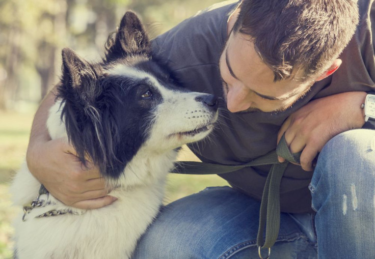 Man playing with dog in park