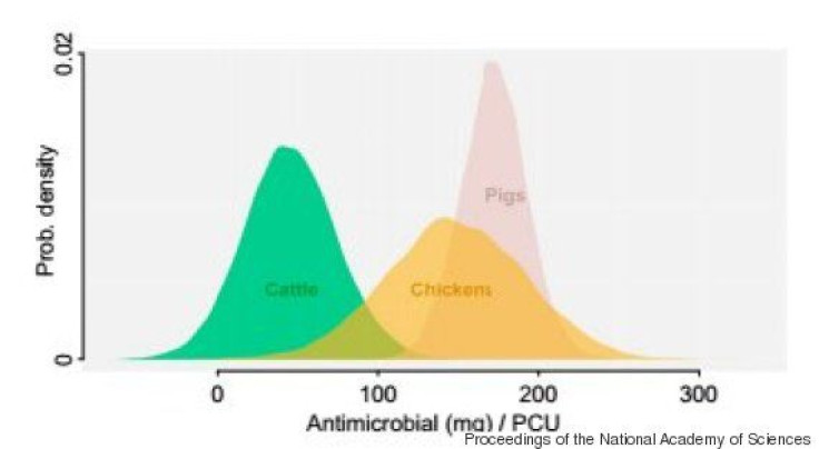 antibiotic consumption