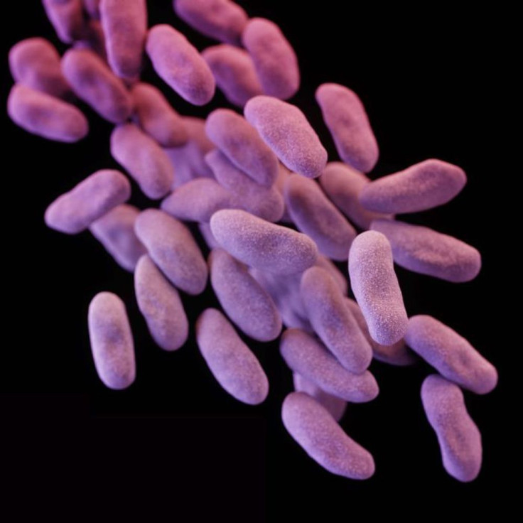 carbapenem-resistant enterobacteriaceae