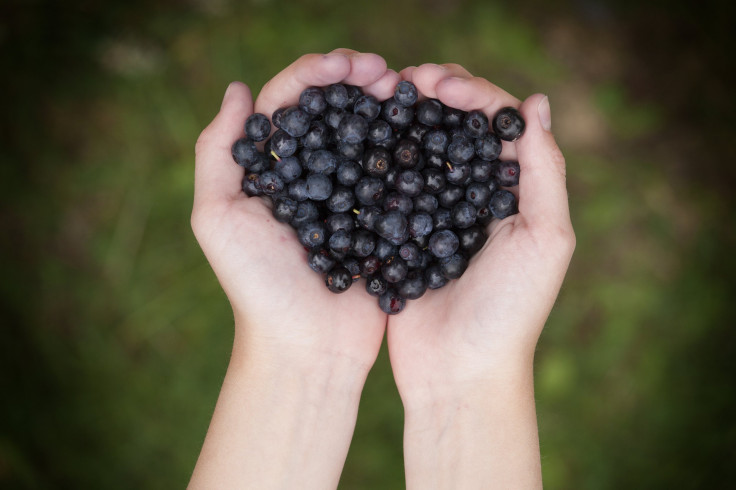 Blueberries For PTSD