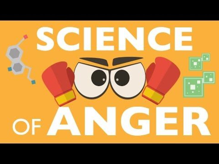All The Rage: How The Human Brain Keeps Anger At Bay, Protects Heart Health