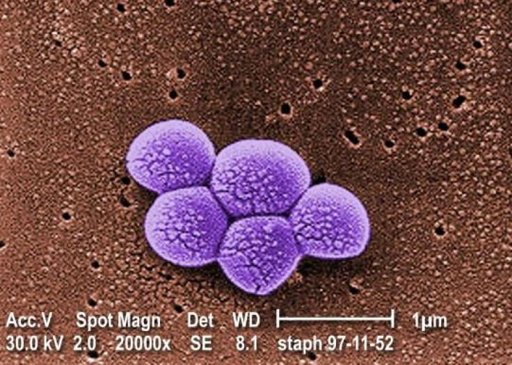 MRSA