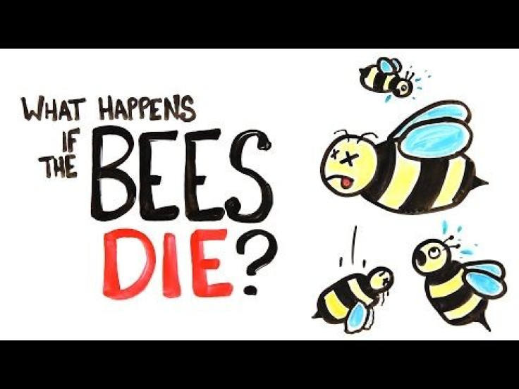 Honey Bees Are Vital To Our Way Of Life; What Would Happen If They All Die