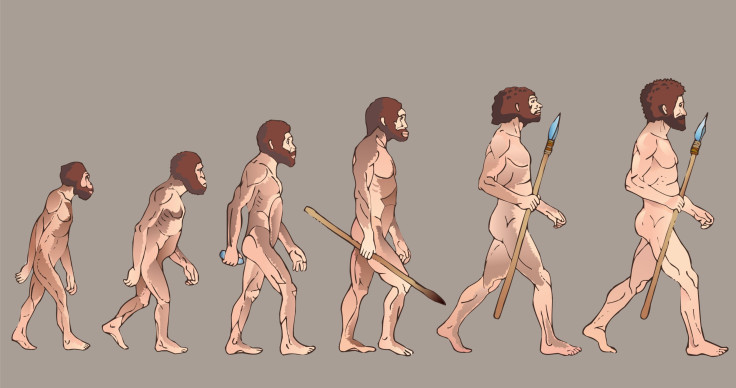 evolution