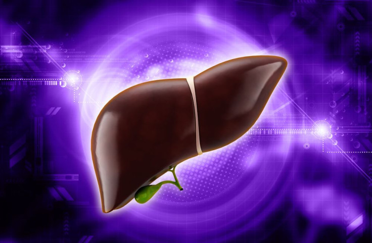 the liver