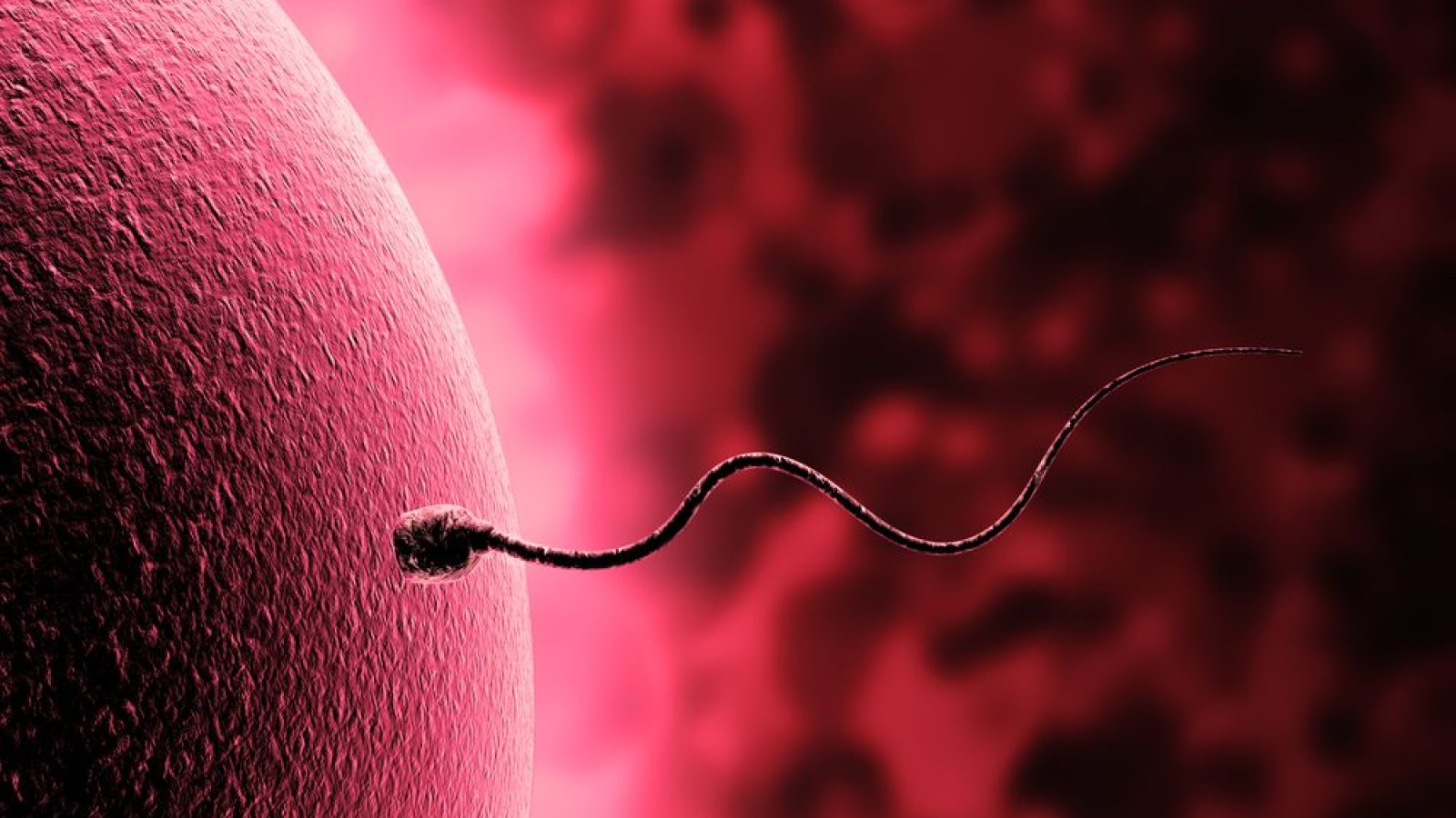 Жетілген сексуалды мұғалімдер Смотреть сексуалды тәте порно видео онлайн