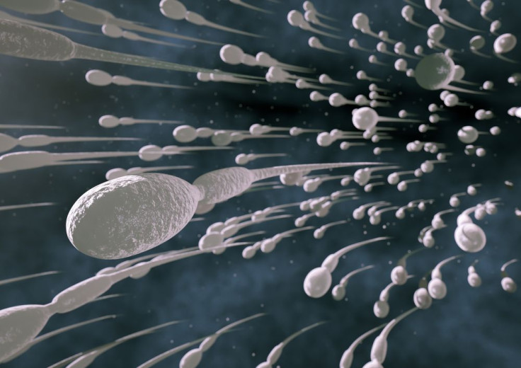 A flow of spermatozoa