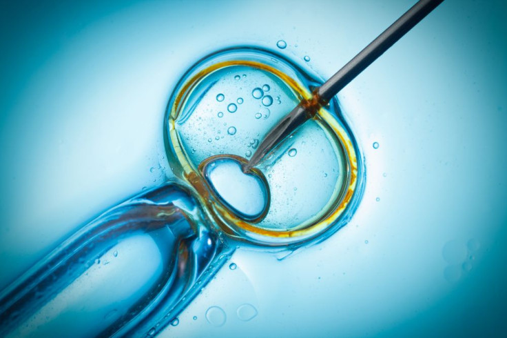 In vitro fertilization, IVF macro concept