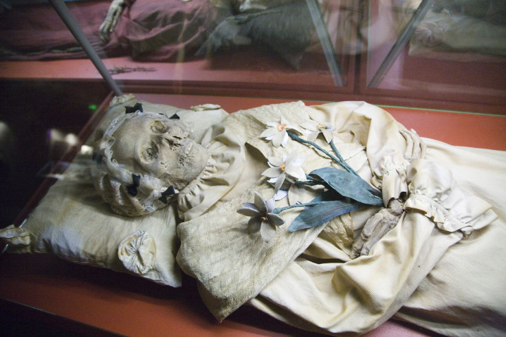 Mummy Vac, Hungary