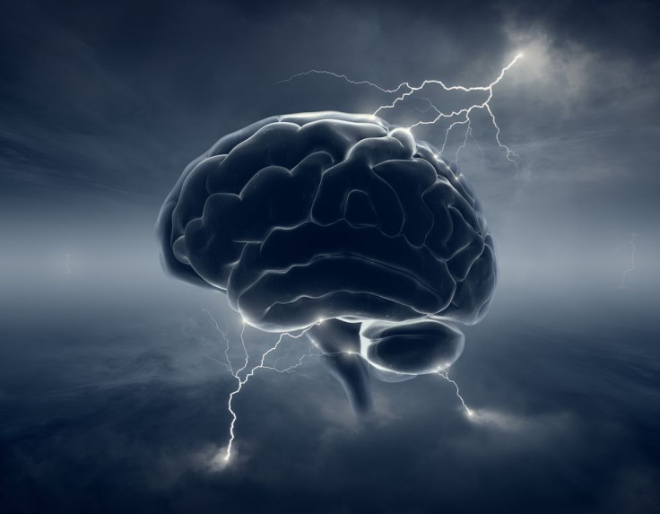 the brain