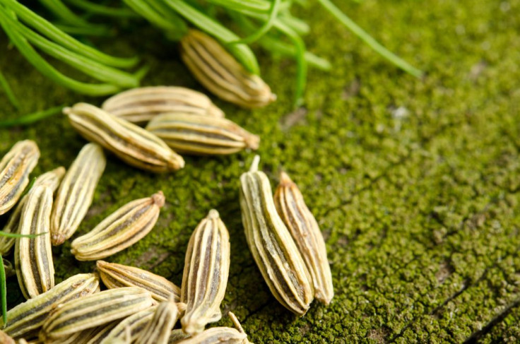 Green dill with fennel seeds