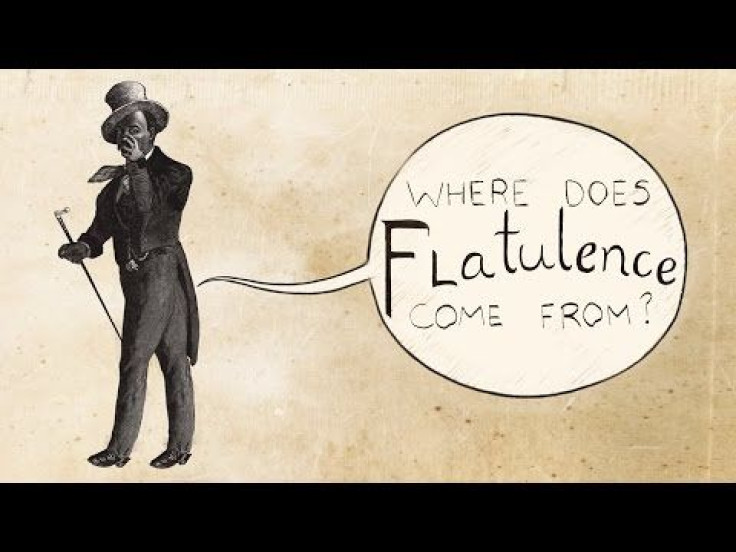 What Causes Flatulence? Passing Gas A Byproduct Of Body's Relationship With Intestinal Bacteria