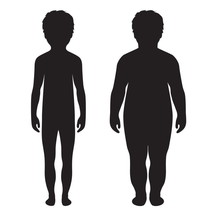 Normal and Overweight Child