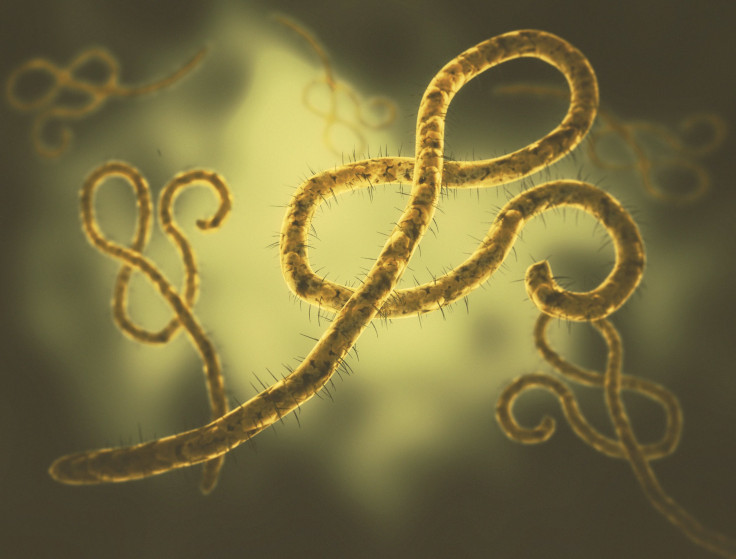 Ebola Virus