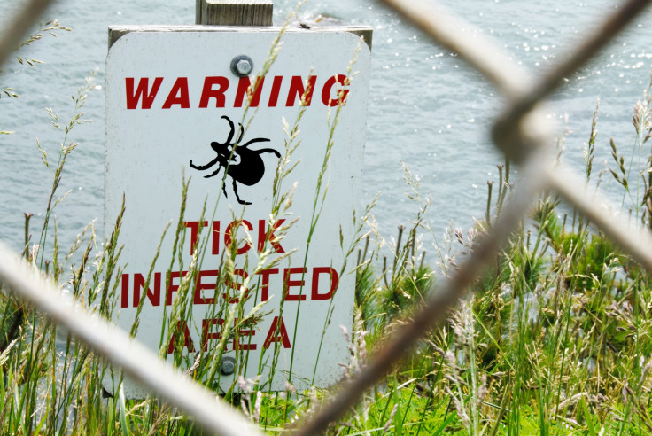 Tick Warning