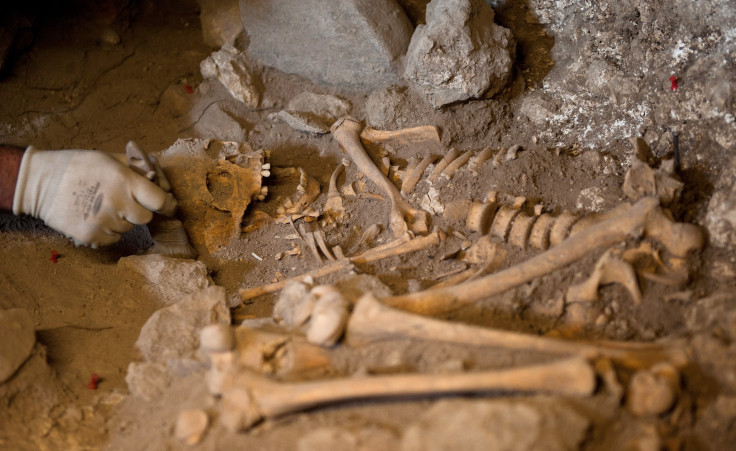 Bronze Age skeletal remains