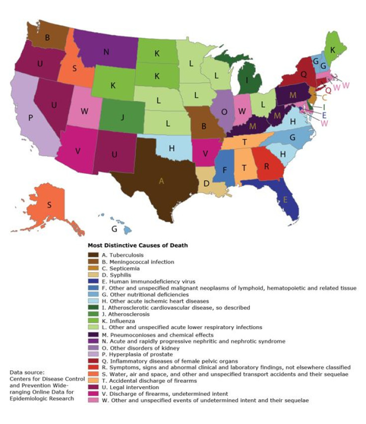 US map of causes of death by state