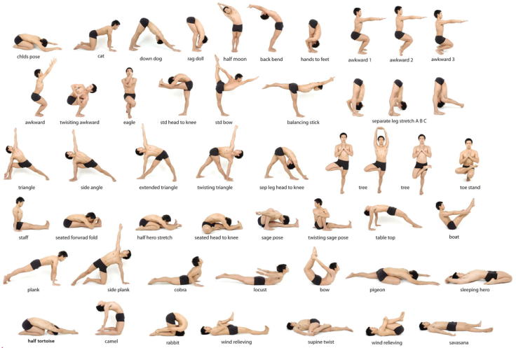 Beginner Yoga Moves